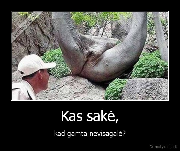 gamtos, isdaiga