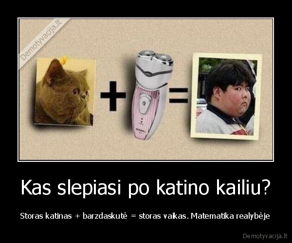 Kas slepiasi po katino kailiu?