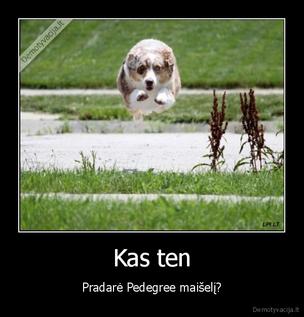 Kas ten