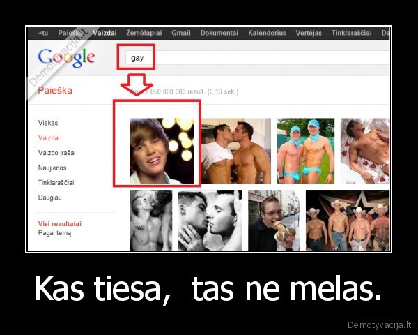 bieberis, gejus