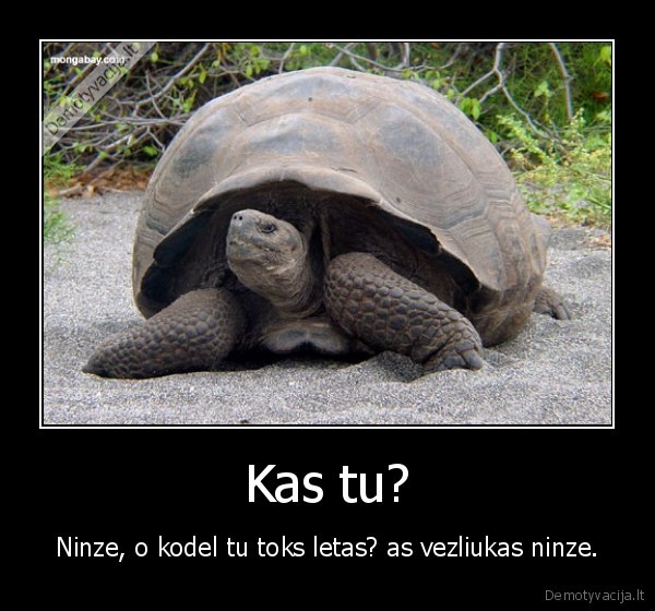 Kas tu?