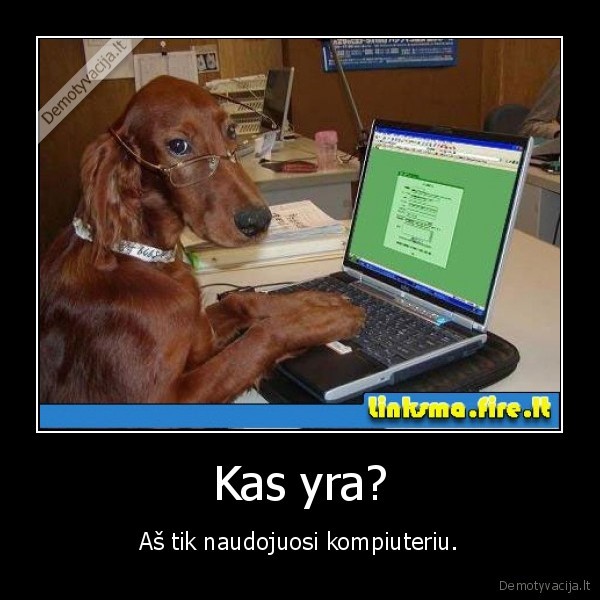 Kas yra?