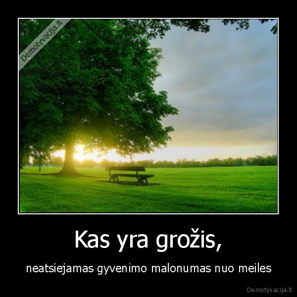Kas yra grožis,