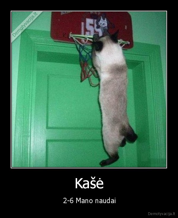 Kašė