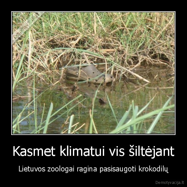 krokodilai,crocs
