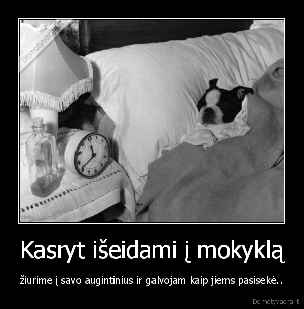Kasryt išeidami į mokyklą