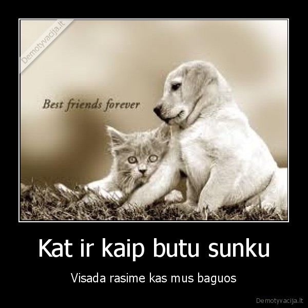 Kat ir kaip butu sunku