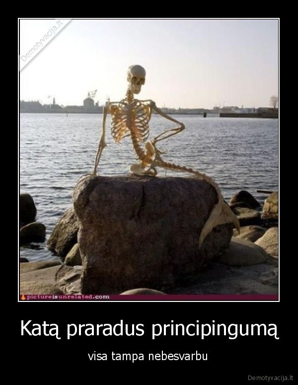 Katą praradus principingumą