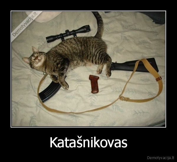 Katašnikovas