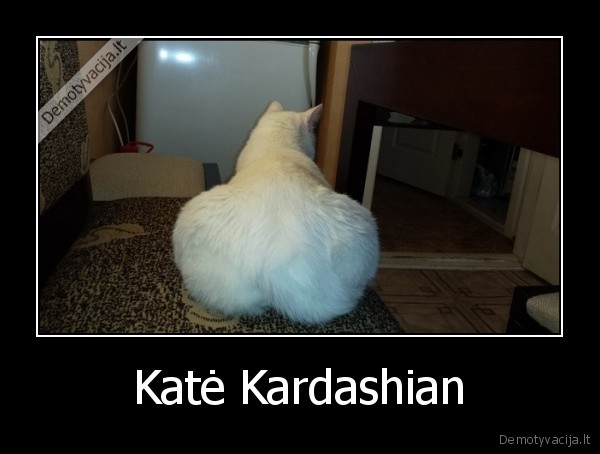 katinas,kate,kardashian