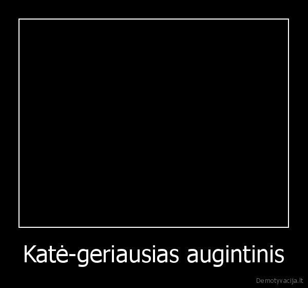 kate,byberis, debilas,lol,demo, zaidimai,kaskas,trololo,laikink, sita, demo