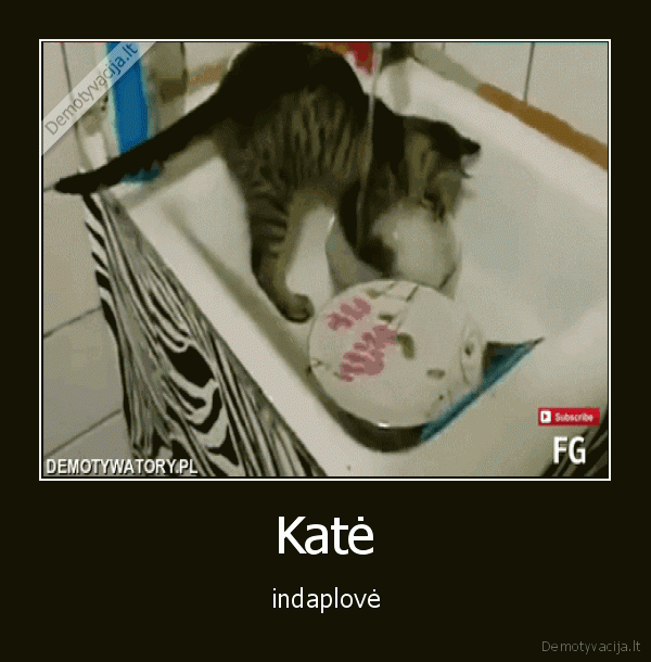 Katė