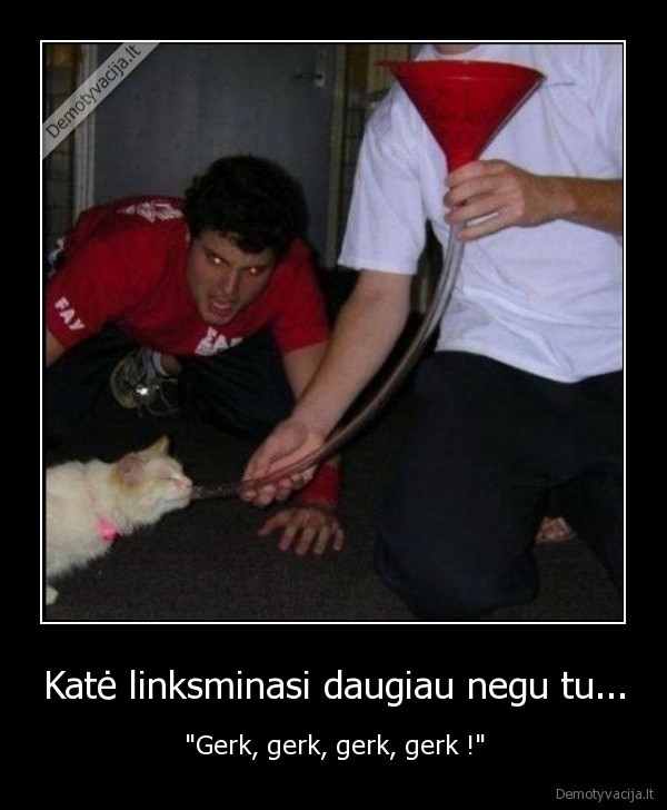 kate,gerk,tu
