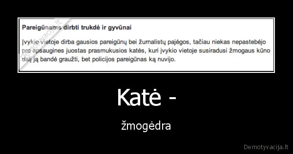 vilniuje,susiprogdino,jaunas,katinas,kate,zmogedra