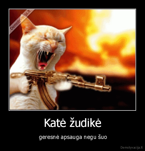 Katė žudikė