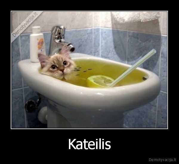 Kateilis