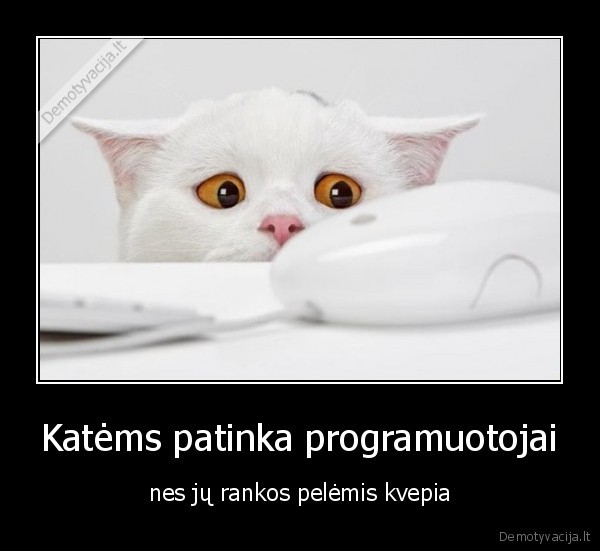 kates,peles,programuotojai