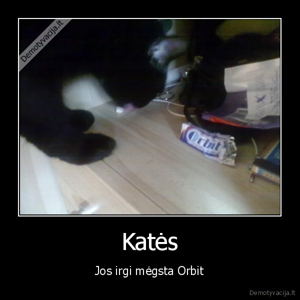 kates,kubilius, gaidys