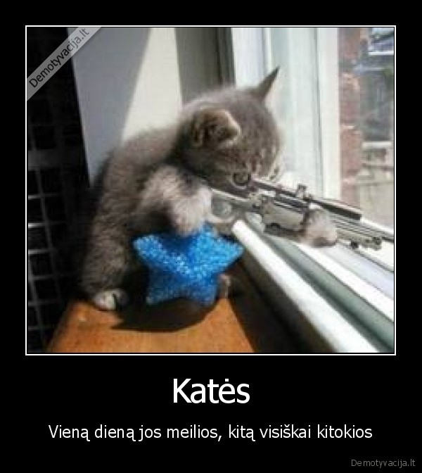 Katės