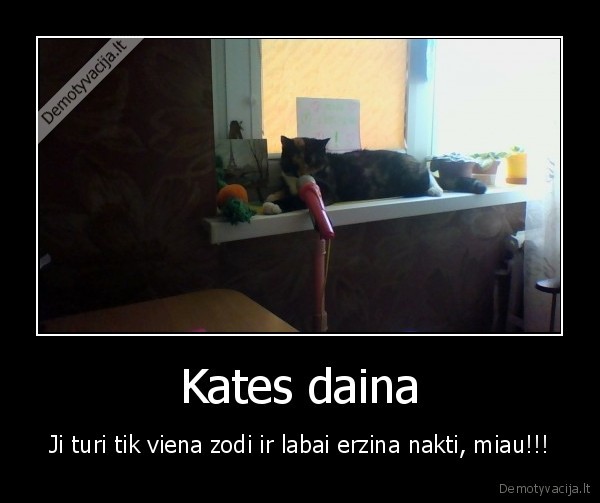 Kates daina