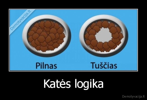 kaciu, maistas,kates, dubenelis