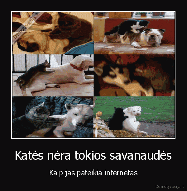 savanaudiskumas,kates,masazas