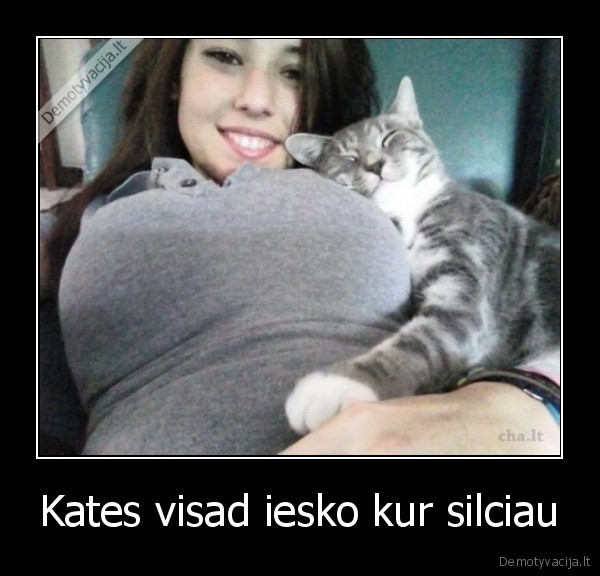 Kates visad iesko kur silciau