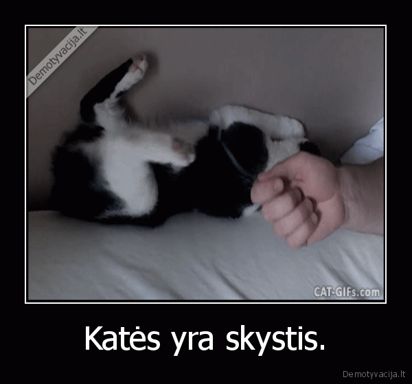 kate,katinas,skystis,nukrenta,sofa