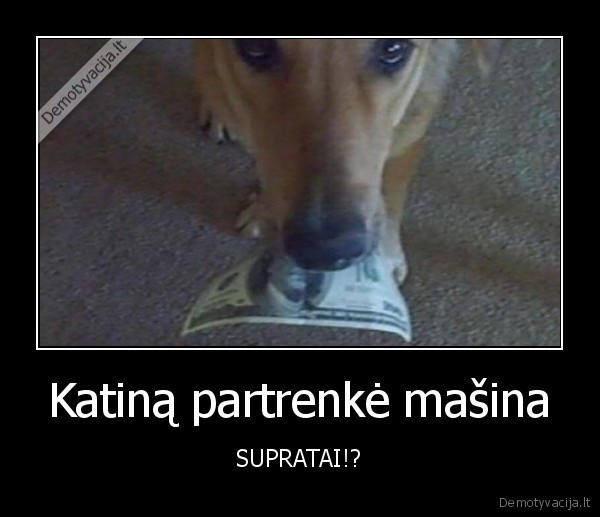 Katiną partrenkė mašina