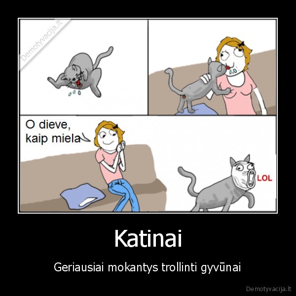 kates, laizo, pute, ir, poto, laizo, kubiliaus, veida