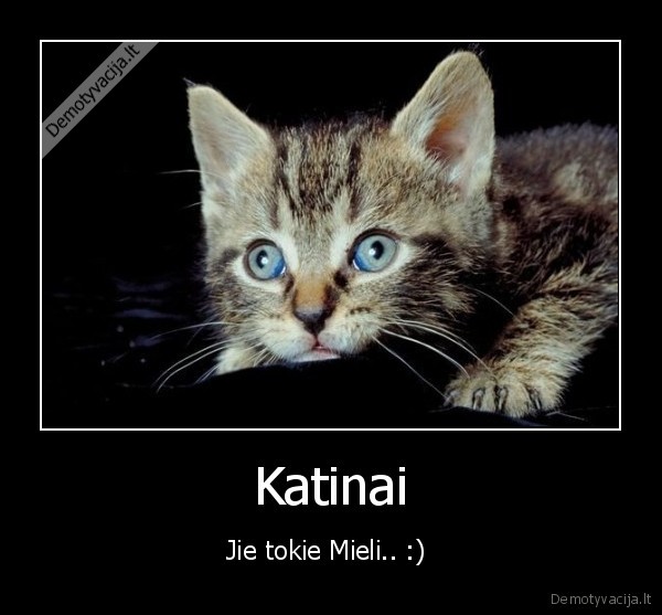 Katinai