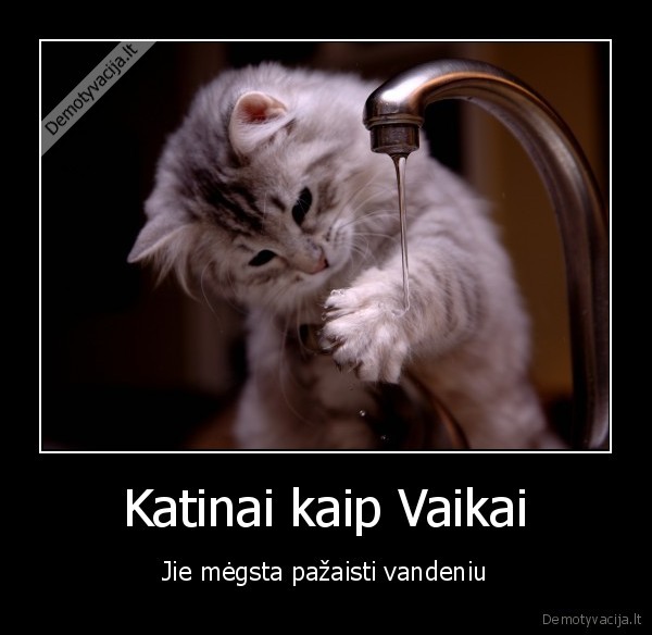 Katinai kaip Vaikai