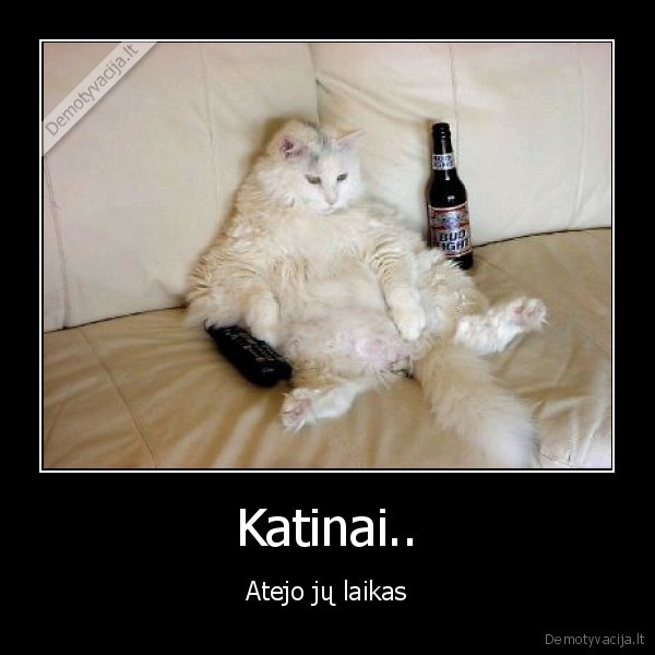 Katinai..