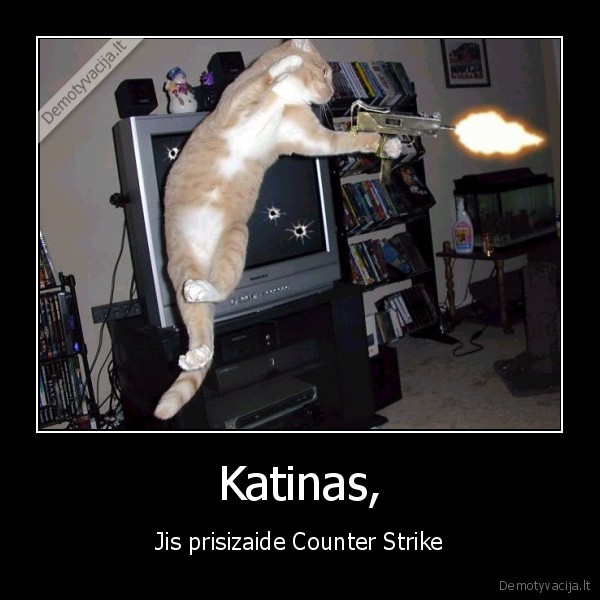 Katinas,