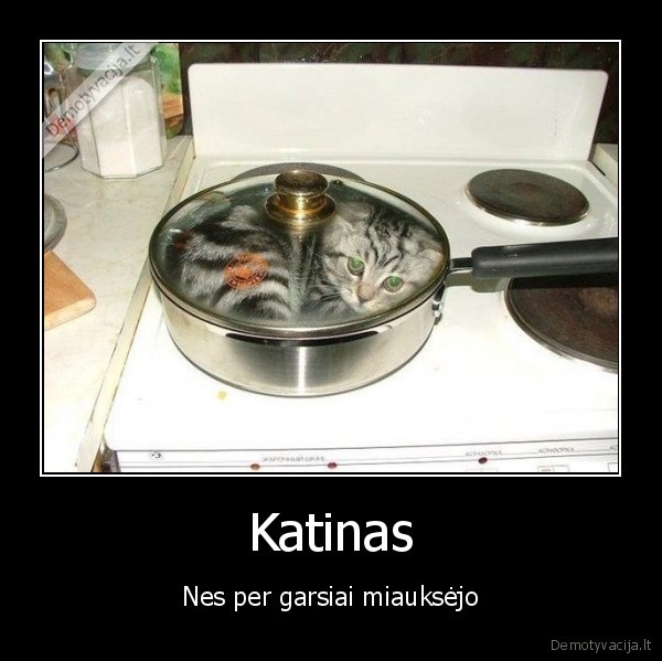 Katinas
