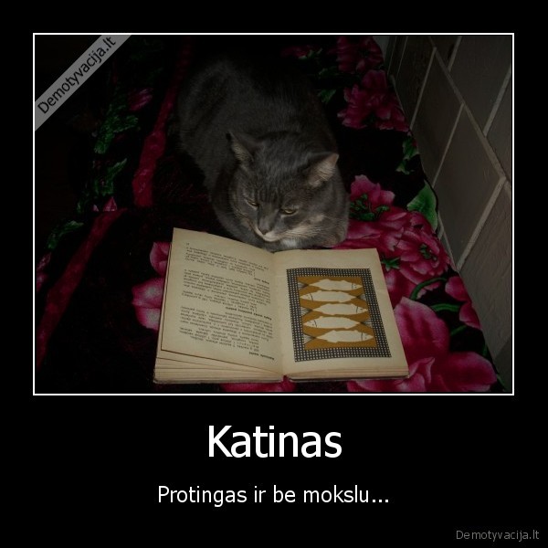 Katinas