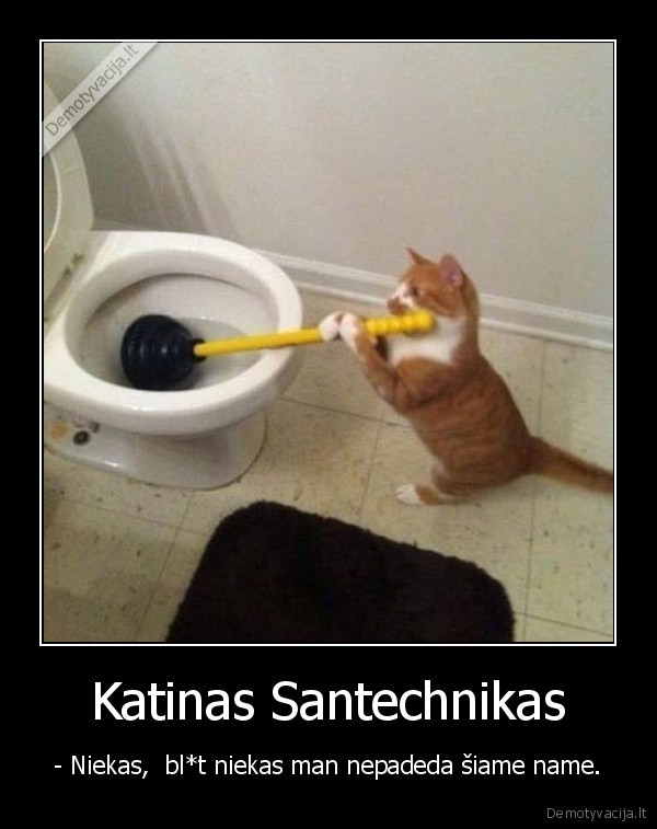 Katinas Santechnikas