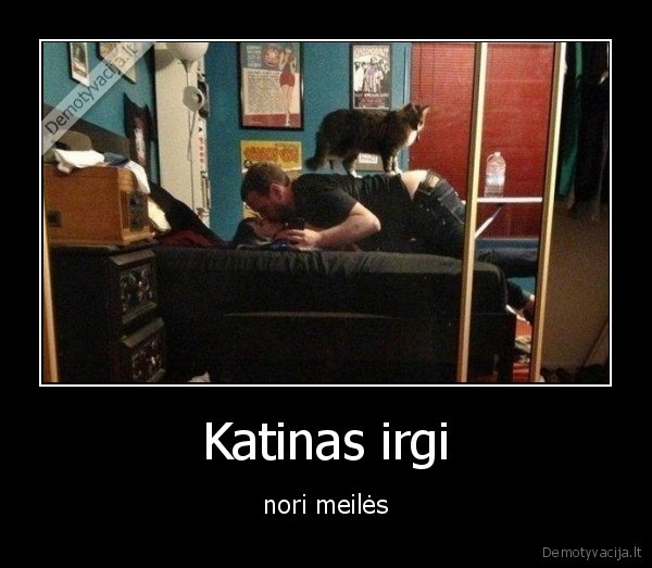 katinas,meile