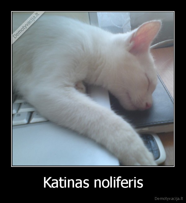 noliferiai,gyvunai