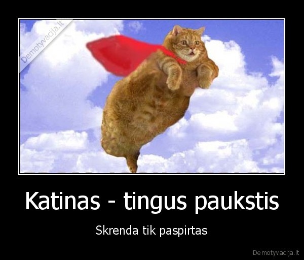 nepatartina, taip, elgtis, us, gyvunais
