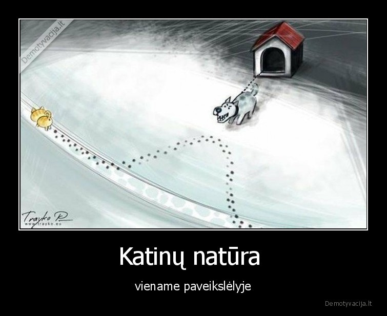 katinai,komiksas,natura,katinas,suo