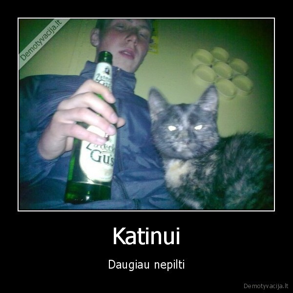 girtas,alus,katinas,kompanija