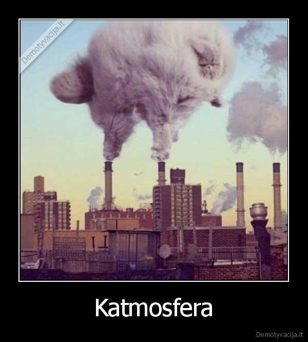 kate,katinas,atmosfera,katmosfera