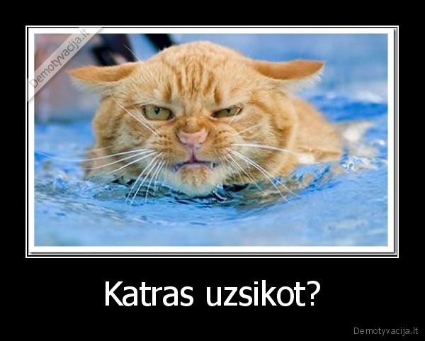 Katras uzsikot?