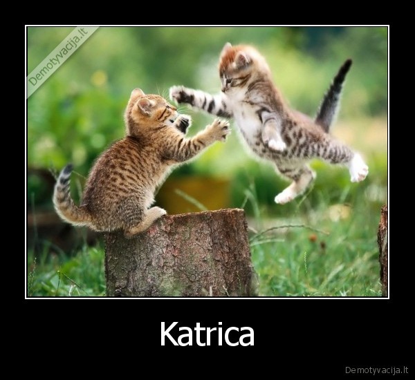 Katrica