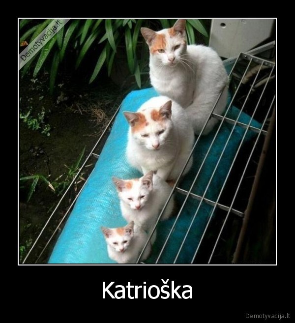 katrioska