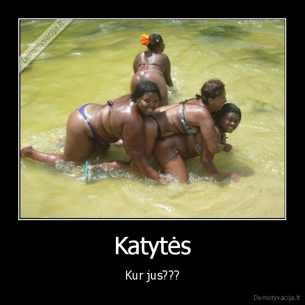 Katytės