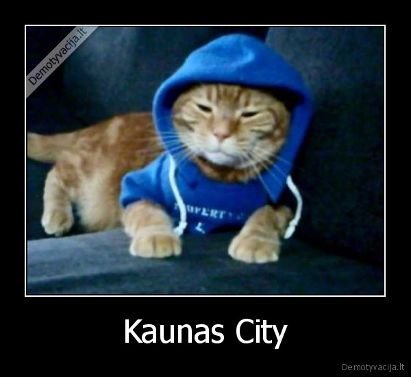 Kaunas City