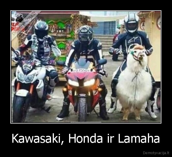 lama,baikeriai,motociklai