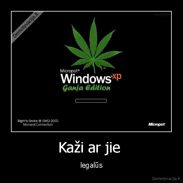 Kaži ar jie 